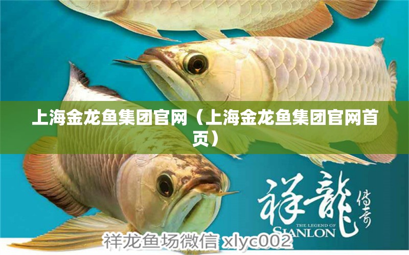 上海金龍魚集團官網(wǎng)（上海金龍魚集團官網(wǎng)首頁） 祥龍水族醫(yī)院