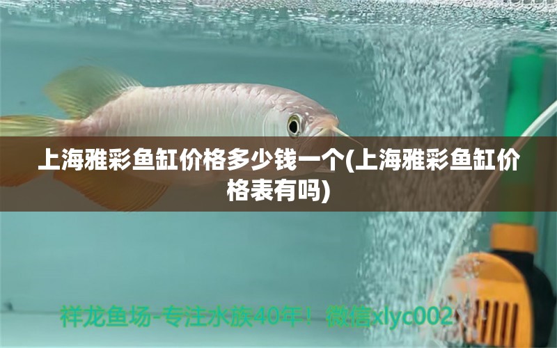 上海雅彩魚缸價格多少錢一個(上海雅彩魚缸價格表有嗎) 觀賞蝦蟹等飼料