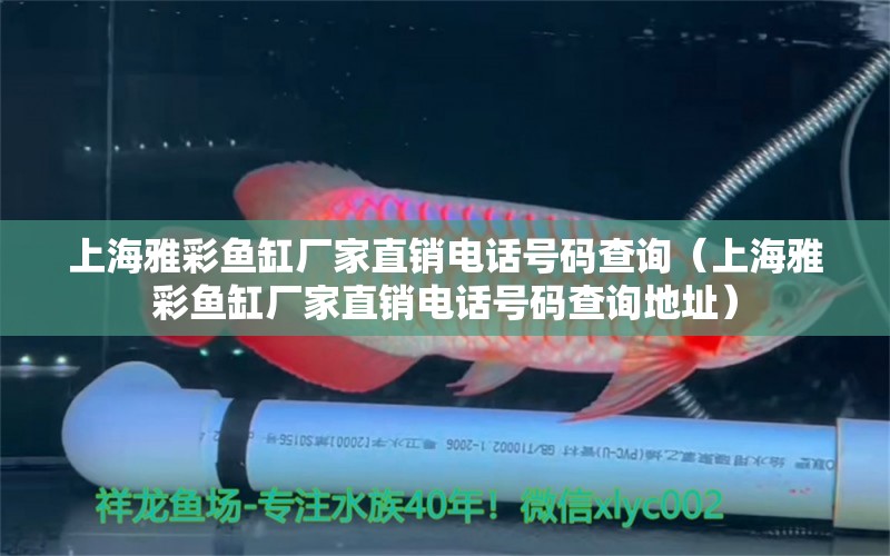 上海雅彩魚缸廠家直銷電話號(hào)碼查詢（上海雅彩魚缸廠家直銷電話號(hào)碼查詢地址）