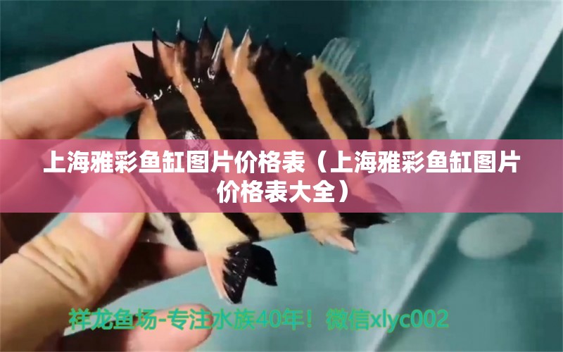 上海雅彩魚缸圖片價(jià)格表（上海雅彩魚缸圖片價(jià)格表大全）