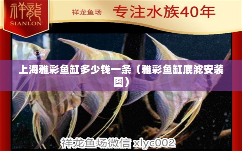 上海雅彩魚(yú)缸多少錢(qián)一條（雅彩魚(yú)缸底濾安裝圖）