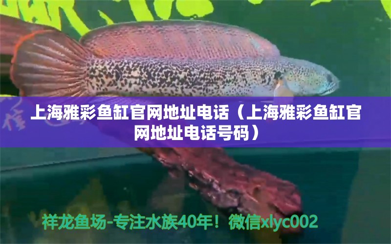 上海雅彩魚缸官網(wǎng)地址電話（上海雅彩魚缸官網(wǎng)地址電話號碼）