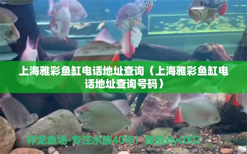 上海雅彩魚缸電話地址查詢（上海雅彩魚缸電話地址查詢號碼）