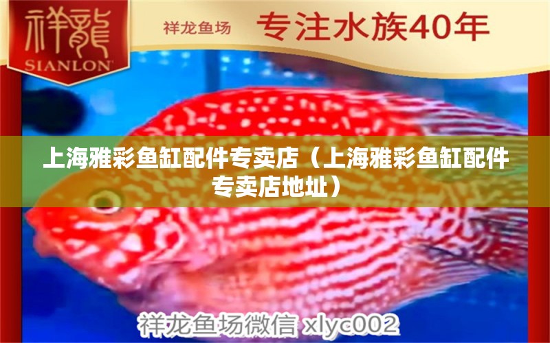 上海雅彩魚缸配件專賣店（上海雅彩魚缸配件專賣店地址）