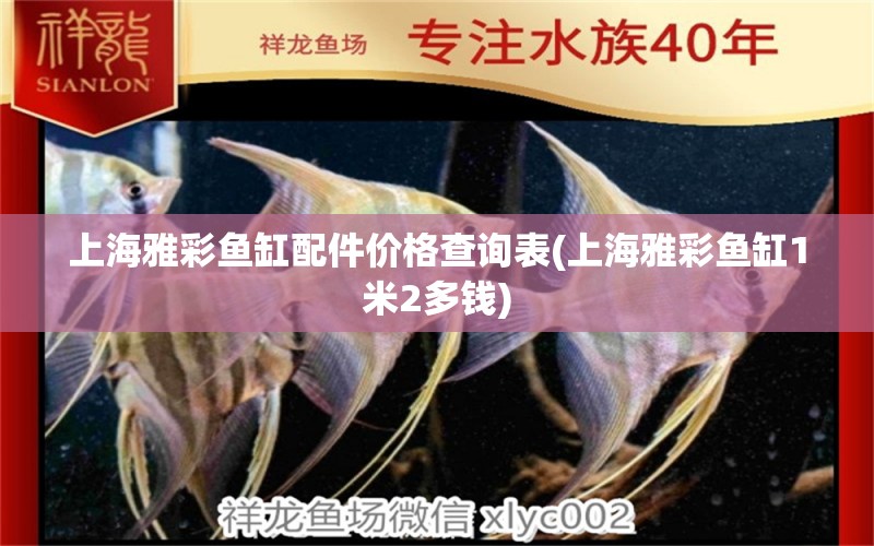 上海雅彩魚缸配件價(jià)格查詢表(上海雅彩魚缸1米2多錢) 金龍福龍魚