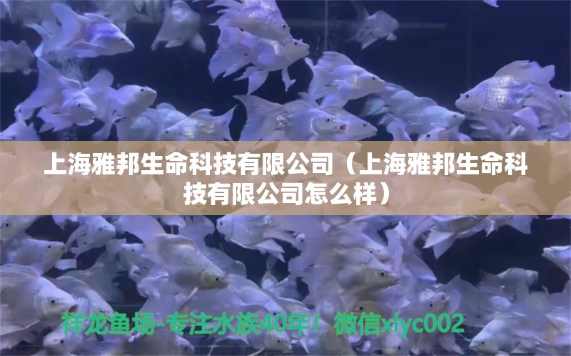 上海雅邦生命科技有限公司（上海雅邦生命科技有限公司怎么樣）