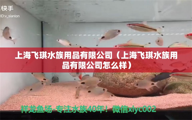 上海飛琪水族用品有限公司（上海飛琪水族用品有限公司怎么樣） 水族用品