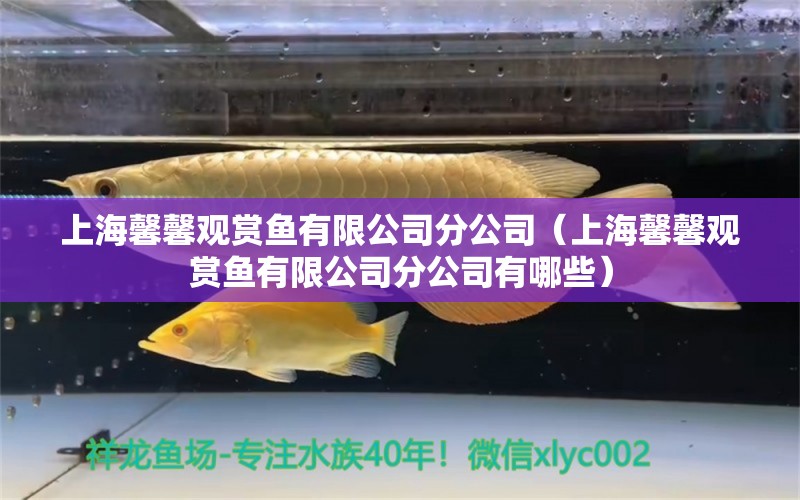 上海馨馨觀賞魚有限公司分公司（上海馨馨觀賞魚有限公司分公司有哪些） 全國(guó)水族館企業(yè)名錄