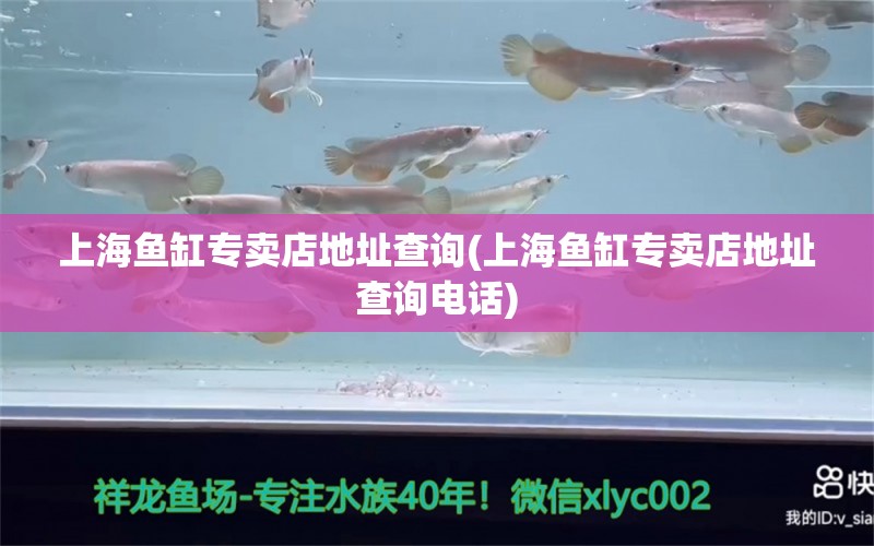 上海魚缸專賣店地址查詢(上海魚缸專賣店地址查詢電話) 三間鼠魚苗