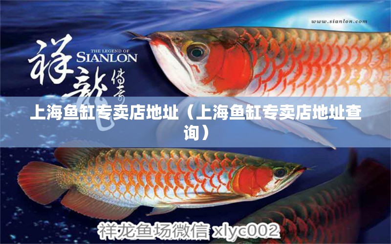 上海魚缸專賣店地址（上海魚缸專賣店地址查詢）