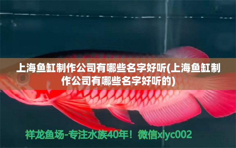 上海魚缸制作公司有哪些名字好聽(上海魚缸制作公司有哪些名字好聽的) 生態(tài)瓶/創(chuàng)意缸/桌面微景缸