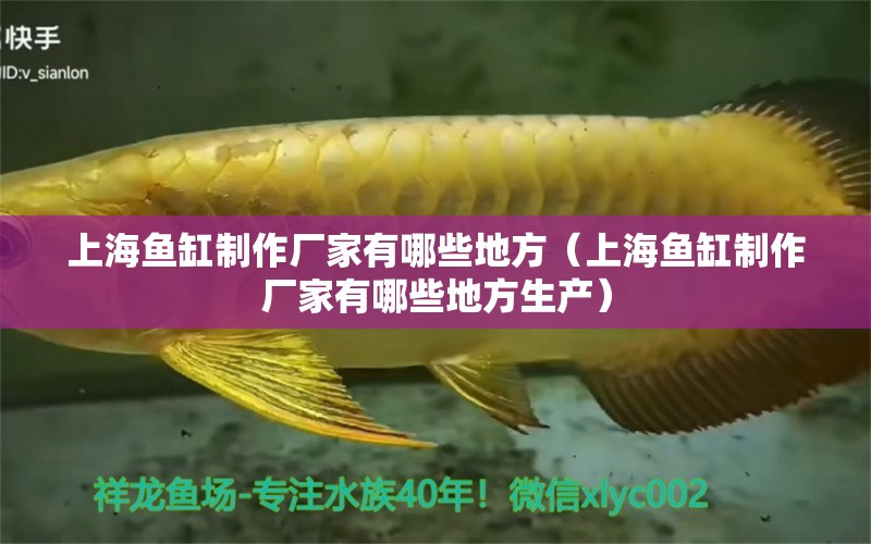 上海魚缸制作廠家有哪些地方（上海魚缸制作廠家有哪些地方生產(chǎn)）