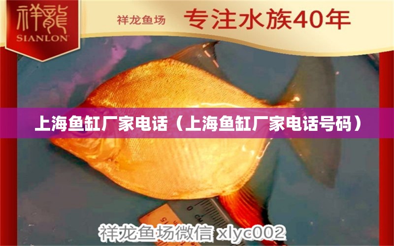 上海魚缸廠家電話（上海魚缸廠家電話號(hào)碼）