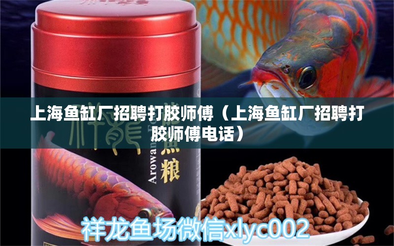 上海魚缸廠招聘打膠師傅（上海魚缸廠招聘打膠師傅電話）