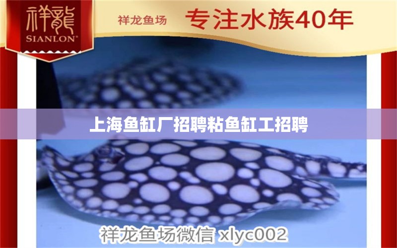 上海魚缸廠招聘粘魚缸工招聘