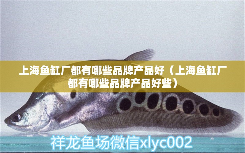 上海魚缸廠都有哪些品牌產(chǎn)品好（上海魚缸廠都有哪些品牌產(chǎn)品好些）