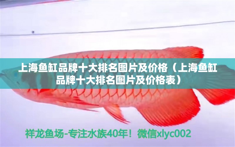 上海魚缸品牌十大排名圖片及價格（上海魚缸品牌十大排名圖片及價格表）