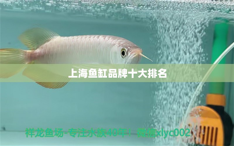 上海魚缸品牌十大排名 其他品牌魚缸