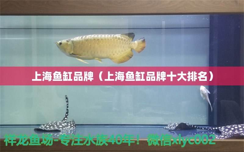 上海魚缸品牌（上海魚缸品牌十大排名） 其他品牌魚缸