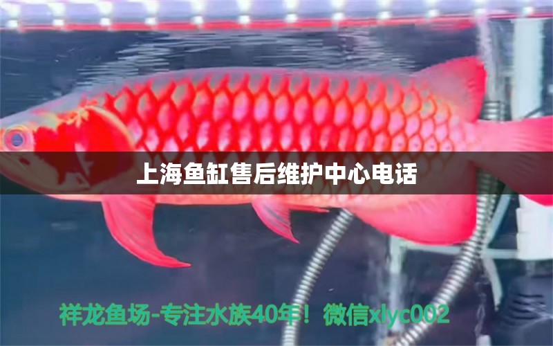 上海魚缸售后維護中心電話 其他品牌魚缸