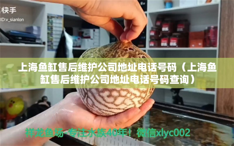 上海魚(yú)缸售后維護(hù)公司地址電話(huà)號(hào)碼（上海魚(yú)缸售后維護(hù)公司地址電話(huà)號(hào)碼查詢(xún)） 其他品牌魚(yú)缸