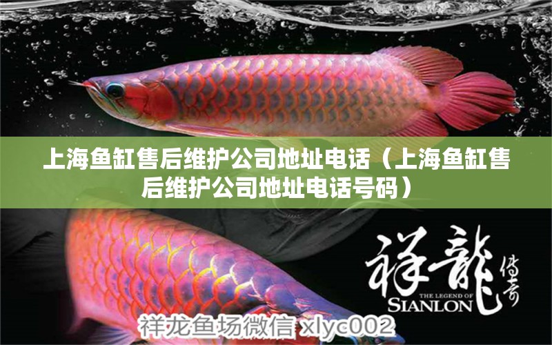 上海魚缸售后維護公司地址電話（上海魚缸售后維護公司地址電話號碼） 其他品牌魚缸