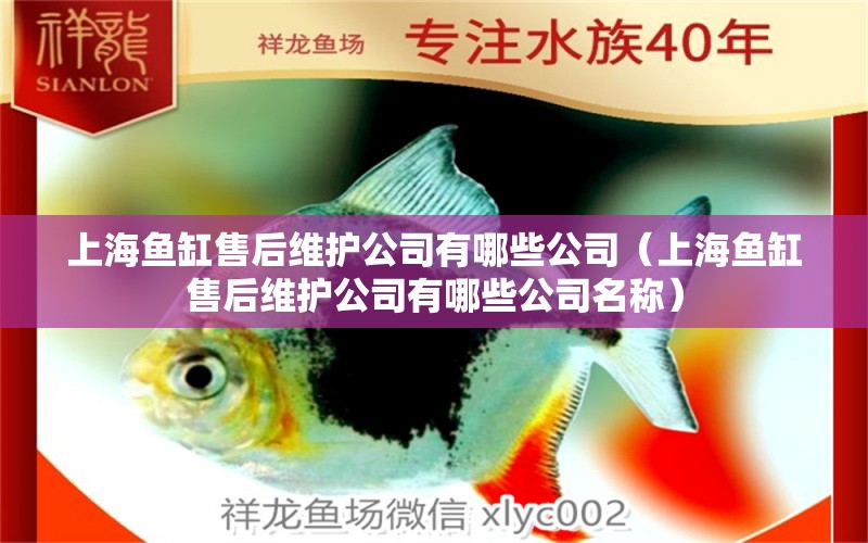 上海魚缸售后維護(hù)公司有哪些公司（上海魚缸售后維護(hù)公司有哪些公司名稱） 其他品牌魚缸