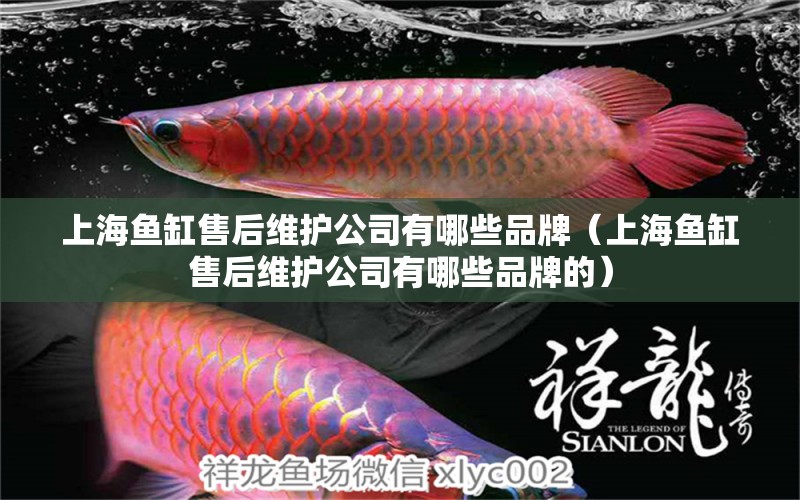 上海魚缸售后維護(hù)公司有哪些品牌（上海魚缸售后維護(hù)公司有哪些品牌的） 其他品牌魚缸