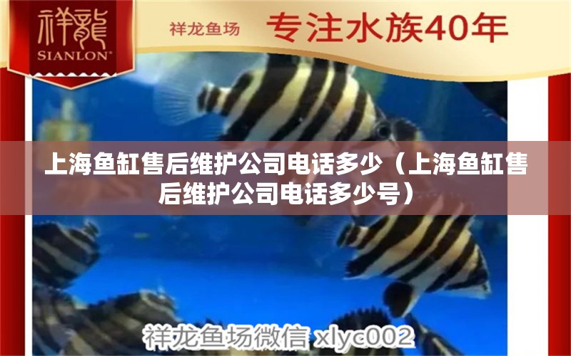 上海魚缸售后維護(hù)公司電話多少（上海魚缸售后維護(hù)公司電話多少號(hào)） 其他品牌魚缸