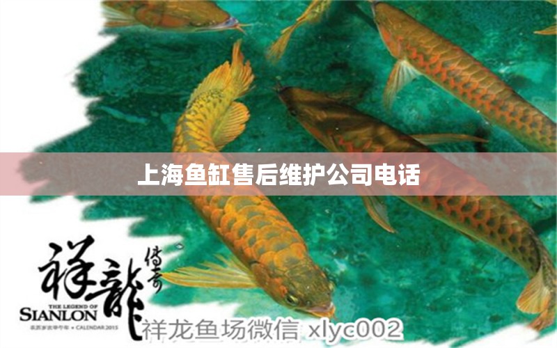 上海魚缸售后維護(hù)公司電話