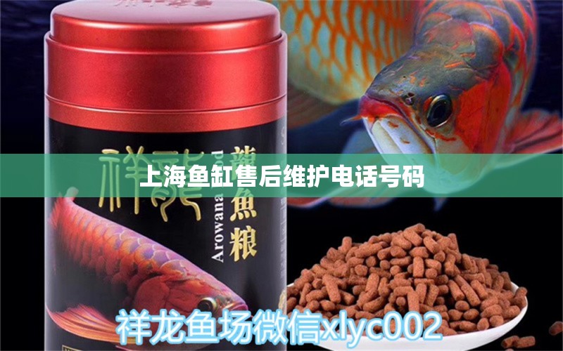 上海魚缸售后維護(hù)電話號碼 其他品牌魚缸