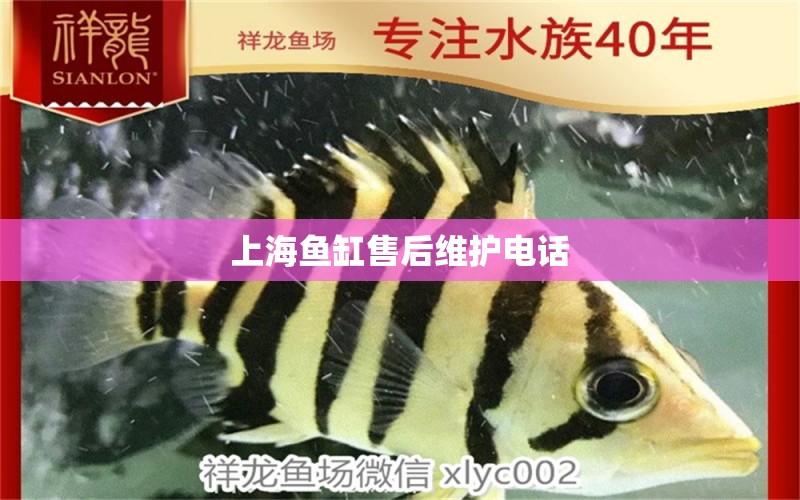 上海魚缸售后維護(hù)電話 其他品牌魚缸