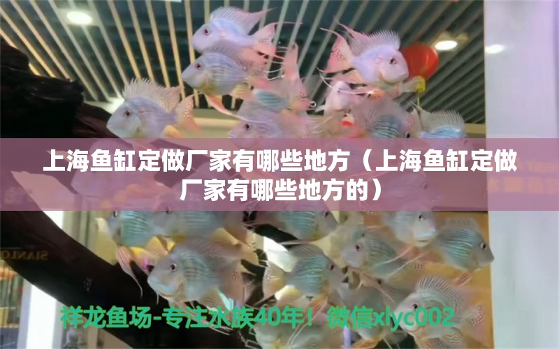 上海魚(yú)缸定做廠家有哪些地方（上海魚(yú)缸定做廠家有哪些地方的）