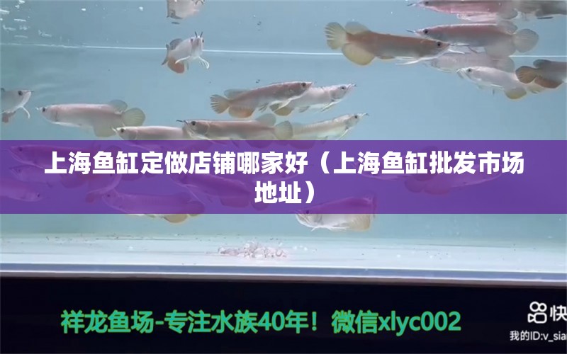 上海魚缸定做店鋪哪家好（上海魚缸批發(fā)市場(chǎng)地址）