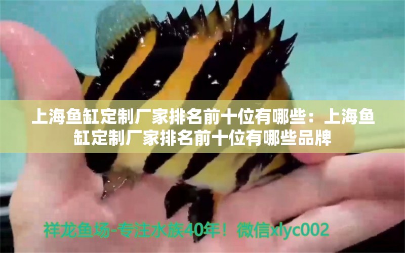 上海魚缸定制廠家排名前十位有哪些：上海魚缸定制廠家排名前十位有哪些品牌