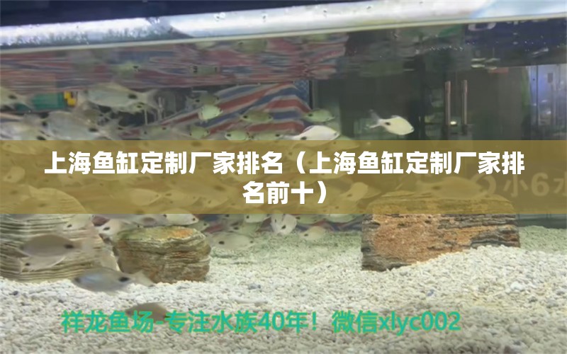 上海魚缸定制廠家排名（上海魚缸定制廠家排名前十）