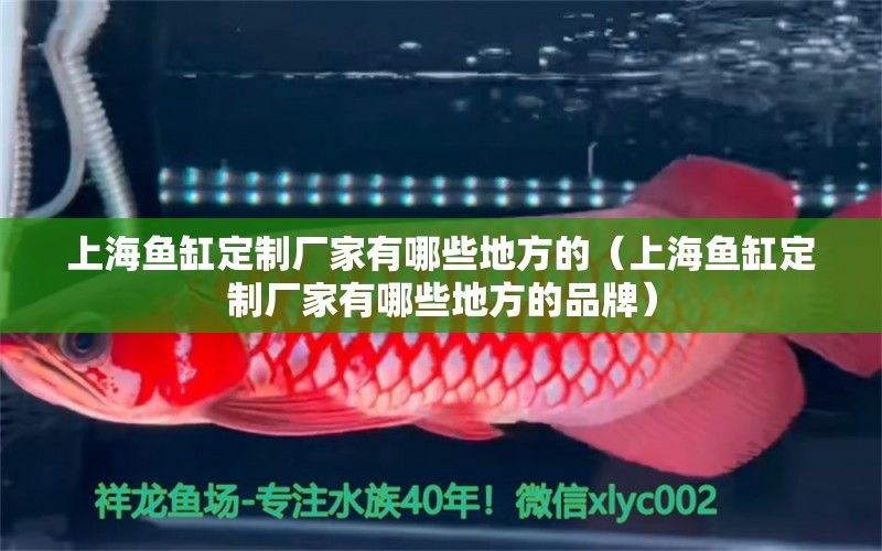 上海魚缸定制廠家有哪些地方的（上海魚缸定制廠家有哪些地方的品牌）