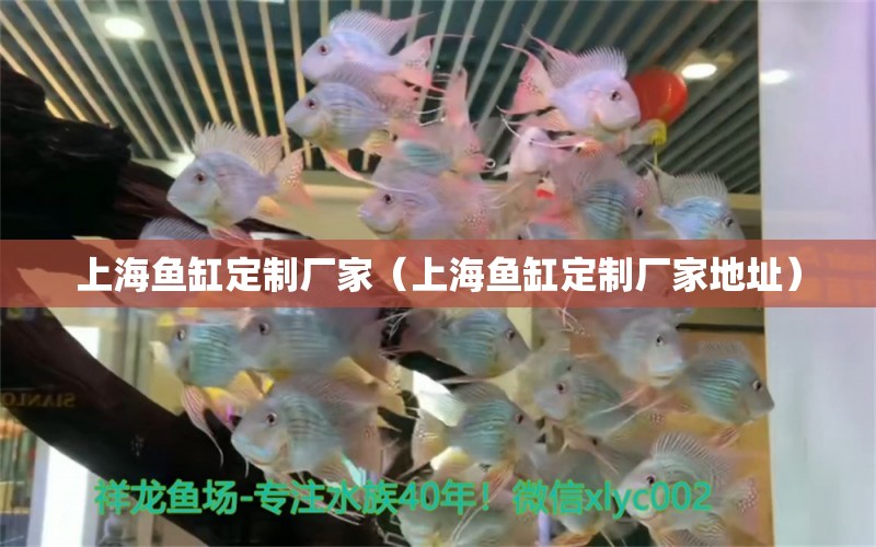 上海魚缸定制廠家（上海魚缸定制廠家地址）