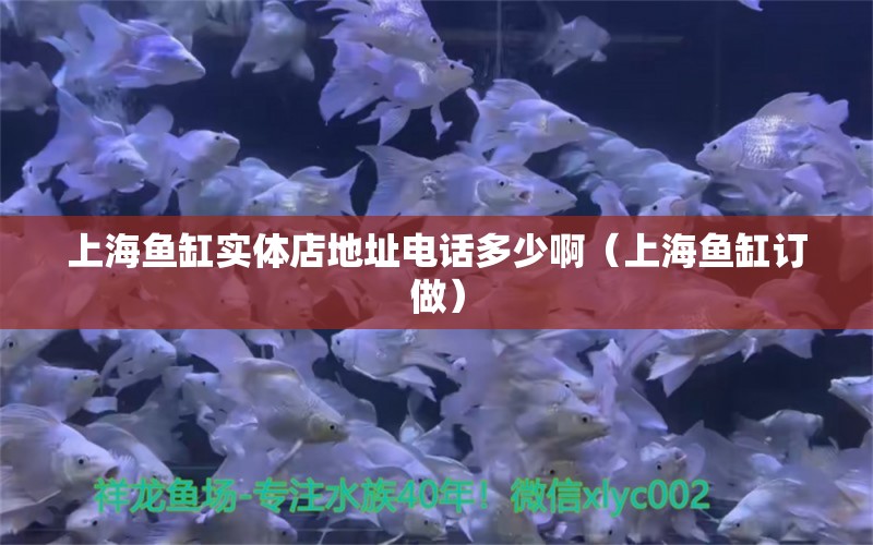 上海魚缸實(shí)體店地址電話多少啊（上海魚缸訂做）