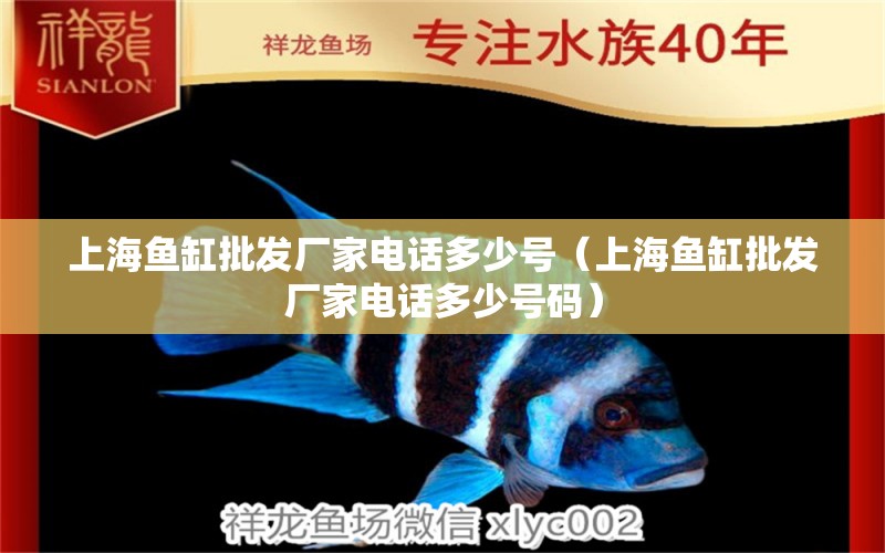 上海魚缸批發(fā)廠家電話多少號（上海魚缸批發(fā)廠家電話多少號碼）