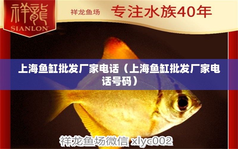 上海魚缸批發(fā)廠家電話（上海魚缸批發(fā)廠家電話號碼）