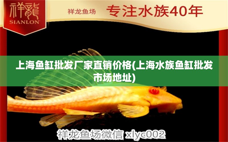 上海魚缸批發(fā)廠家直銷價(jià)格(上海水族魚缸批發(fā)市場(chǎng)地址) 定時(shí)器/自控系統(tǒng) 第1張