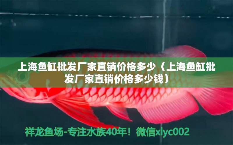 上海魚缸批發(fā)廠家直銷價格多少（上海魚缸批發(fā)廠家直銷價格多少錢）