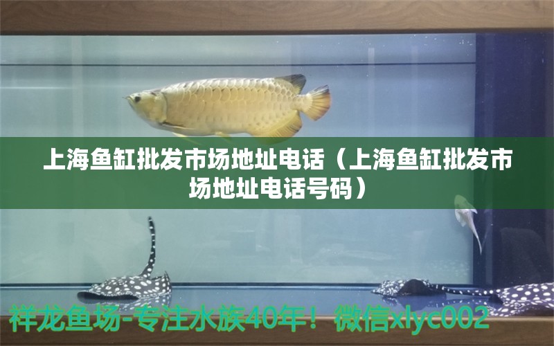 上海魚(yú)缸批發(fā)市場(chǎng)地址電話（上海魚(yú)缸批發(fā)市場(chǎng)地址電話號(hào)碼）