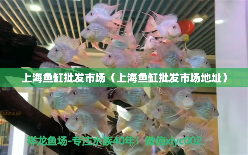 上海魚(yú)缸批發(fā)市場(chǎng)（上海魚(yú)缸批發(fā)市場(chǎng)地址）