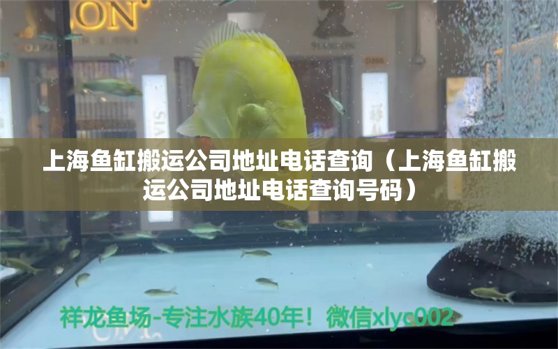 上海魚缸搬運(yùn)公司地址電話查詢（上海魚缸搬運(yùn)公司地址電話查詢號(hào)碼） 祥龍水族醫(yī)院