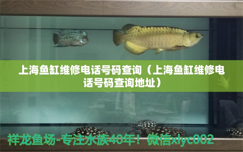 上海魚缸維修電話號碼查詢（上海魚缸維修電話號碼查詢地址）