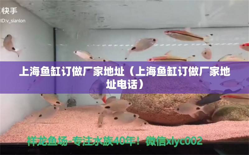 上海魚缸訂做廠家地址（上海魚缸訂做廠家地址電話） 其他品牌魚缸