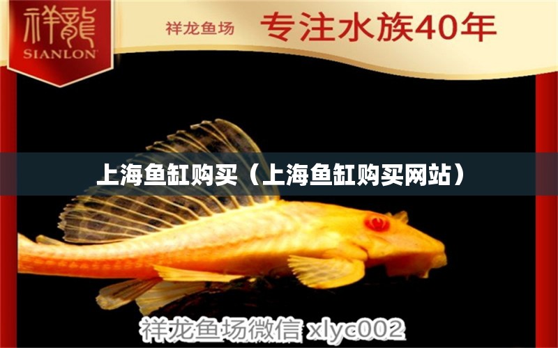 上海魚缸購買（上海魚缸購買網(wǎng)站） 其他品牌魚缸