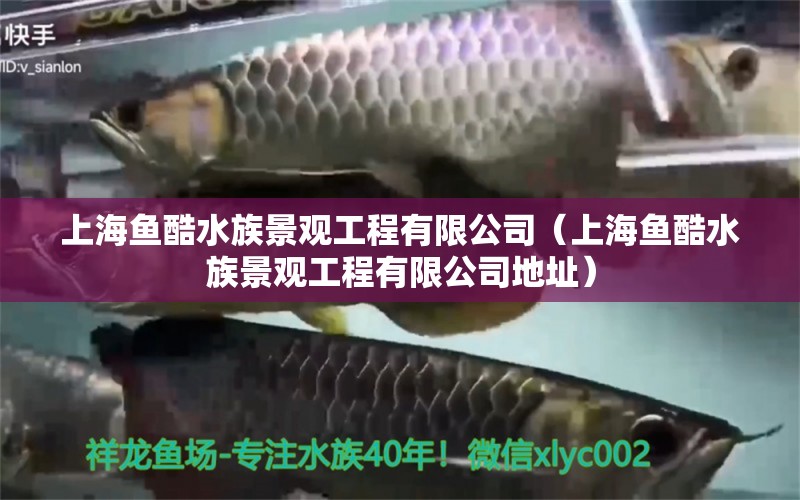 上海魚酷水族景觀工程有限公司（上海魚酷水族景觀工程有限公司地址） 全國水族館企業(yè)名錄